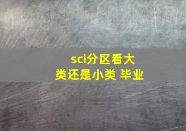 sci分区看大类还是小类 毕业